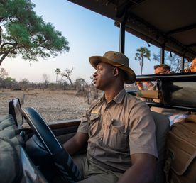 Водопад Виктория,  Замбия. Сафари В Ботсване