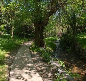 Тайны Гелона и величие Шахрисабза