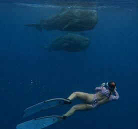 Маврикий - Райский Остров