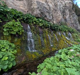 Большое курильское приключение: Итуруп-Кунашир-Шикотан