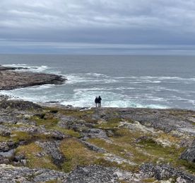 Море по колено - Арктика это круто!