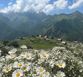 Нетронутая красота горной Дигории