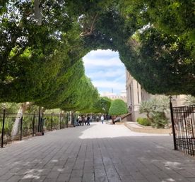 Асьют:Тайны Верхнего Египта: Мейр и Аль-Мухаррак