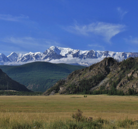 К снежным вершинам