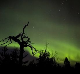Сейды Воттоваары и озеро Пизанец