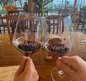 Экскурсия в винодельню Van Ardi