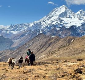 Laya Gasa Trek - 16 nights 17 days