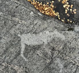 Беломорские петроглифы и Беломорское поморье