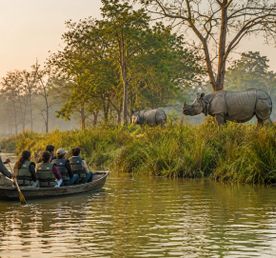 Wildlife Escape
