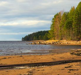 Познавательный поход по берегу Белого моря