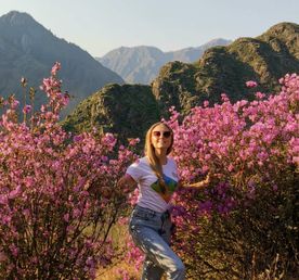 Цветение маральника на Алтае. Комфорт-Тур/ 4 дня