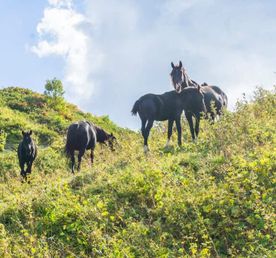 Через горы к морю по 30 маршруту