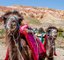 Тур по Чуйскому тракту до Алтайского Марса на 2 дня