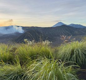 Индонезия: большое путешествие. Острова Бали, Ява, Комодо