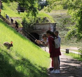 Музейный Калининград-Кёнигсберг