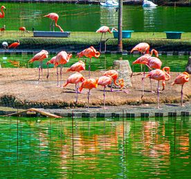 Сказка Батуми: 4 парка за один день