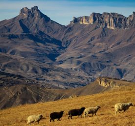 Таинственная Кабардино-Балкария за один день. Индивидуальная поездка из Пятигорска