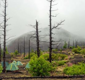 Толбачик. По следам извержения.