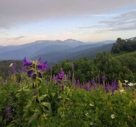 Всесоюзный маршрут 30: через горы к морю (поход)