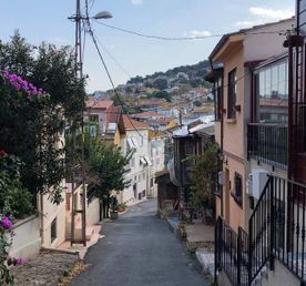 Самый зеленый из Принцевых островов — круглый год