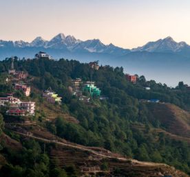 Панорамный однодневный поход из Нагаркота в Чангунараян с обедом