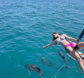 Морской тур с дельфинами