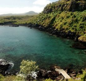 5-дневная прогулка по Галапагосским островам: Сан-Кристобаль и Санта-Круз