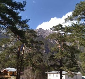 Высокогорный Цей. Групповой или индивидуальный тур.