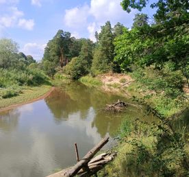 Сплав по реке Киржач (Владимирская обл.) на байдарках, 2 дня