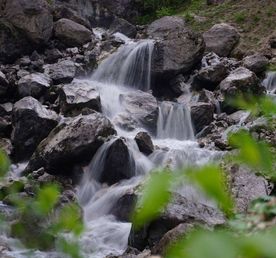 Северная Осетия и Кабардино-Балкария,Ингушетия Акция