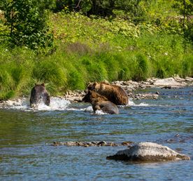 Сплав по реке Быстрая