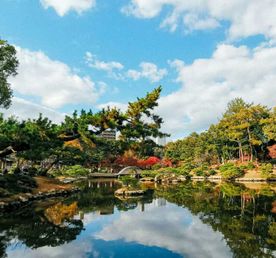 Лучшее в Японии за 9 дней