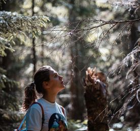 Поход по Большой Валдайской тропе