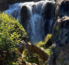 Джип-тур в Малую Долину Гейзеров (Дачные термальные источники) и водопад Спокойный.
