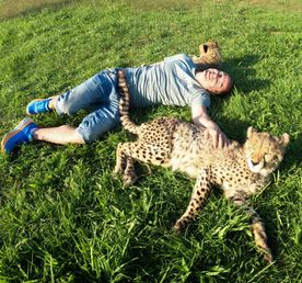 Юар - Исполнение мечты: Гепарды, Пингвины, Зебры и много всего!