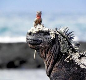 5 дней чудес острова Сан-Кристобаль