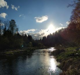 Сплав на SUP бордах по реке Нерская (1 день)