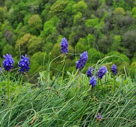 Неизвестная Адыгея (без рюкзаков и палаток)