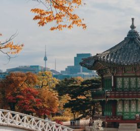 Сезон красных клёнов. Сеул+Чеджу