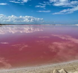 Розовое озеро, Марсианские горы, гора Бешбармаг, горный чай и черная икры