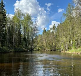 Сплав на каяках по реке Юшут