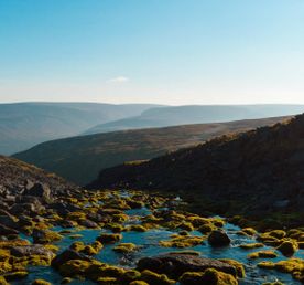 Легенды Сейдозера