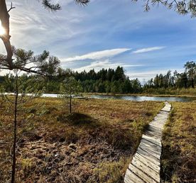 Пеший поход Звенигородская биостанция Мгу и карьер Сима