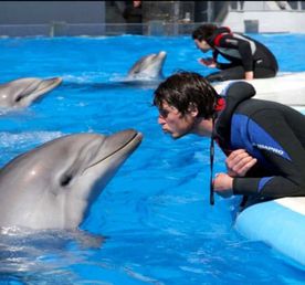 Индивидуальный Развлекательный тур с посещением Дельфинария и Цицинате