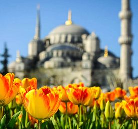 Стамбул и Каппадокия