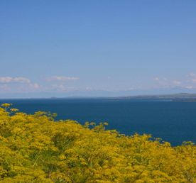 Севанская мозаика