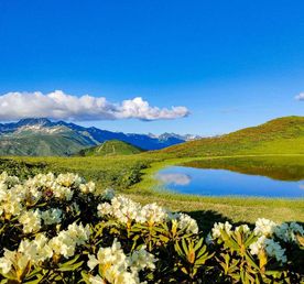 Перезагрузка в Горах Абхазии