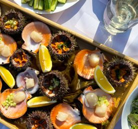 Рыбачий-Премиум 2.0: киты + джипинг + безлимит морепродуктов (по запросу, для готовых групп)