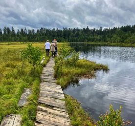 Звенигородский заказник и карьер Сима. Однодневный поход в Подмосковье