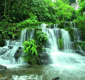 4-дневный опыт работы в Amazon Safari